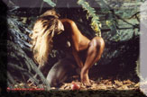 Eleonora Vallone 82
